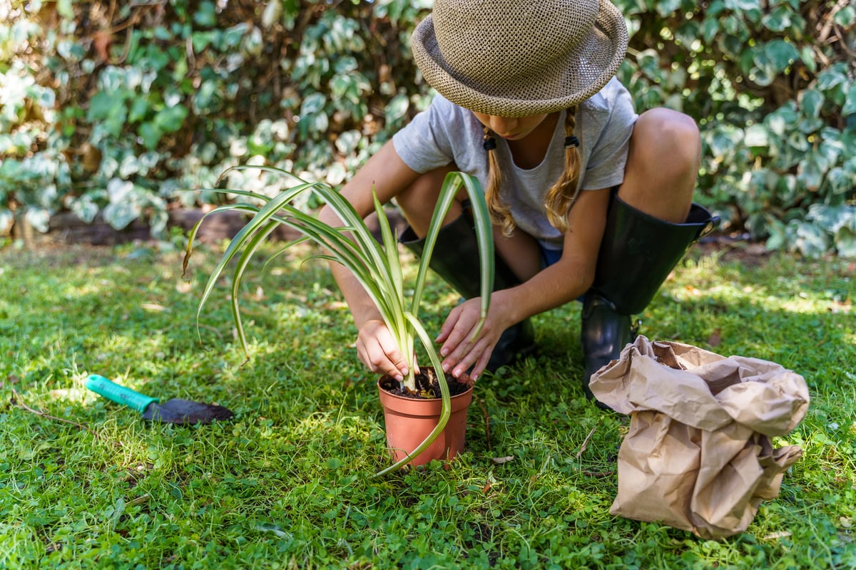 Green Ecological and Environmental Lessons for Children.